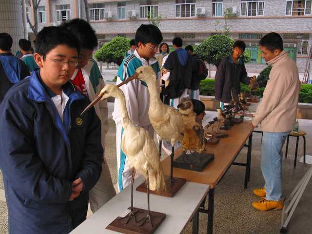 19中山大学生科院标本展览